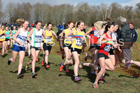 Senior womens 2019 British Athletics Inter Counties Cross Country, Prestwood Hall, Loughborough. Photo:  David T. Hewitson/Sports for All Pics
